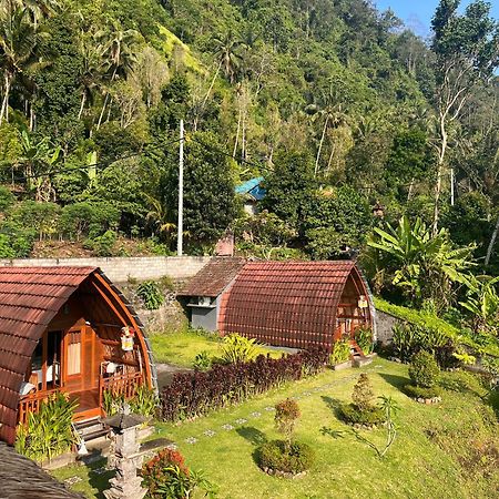 Villa Lumbung Ayu Sari & Spa Karangasem Εξωτερικό φωτογραφία