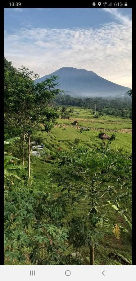 Villa Lumbung Ayu Sari & Spa Karangasem Εξωτερικό φωτογραφία