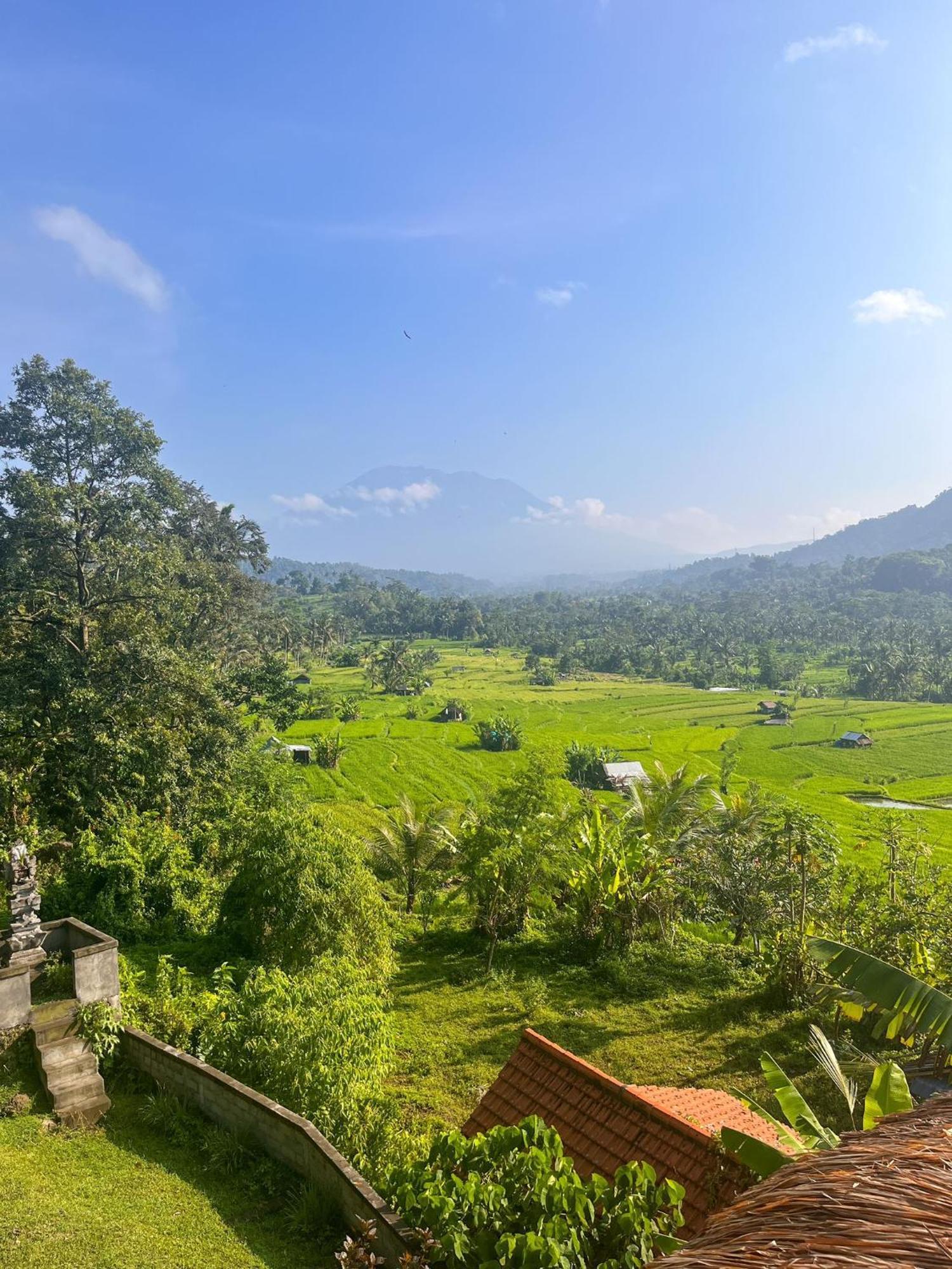 Villa Lumbung Ayu Sari & Spa Karangasem Εξωτερικό φωτογραφία